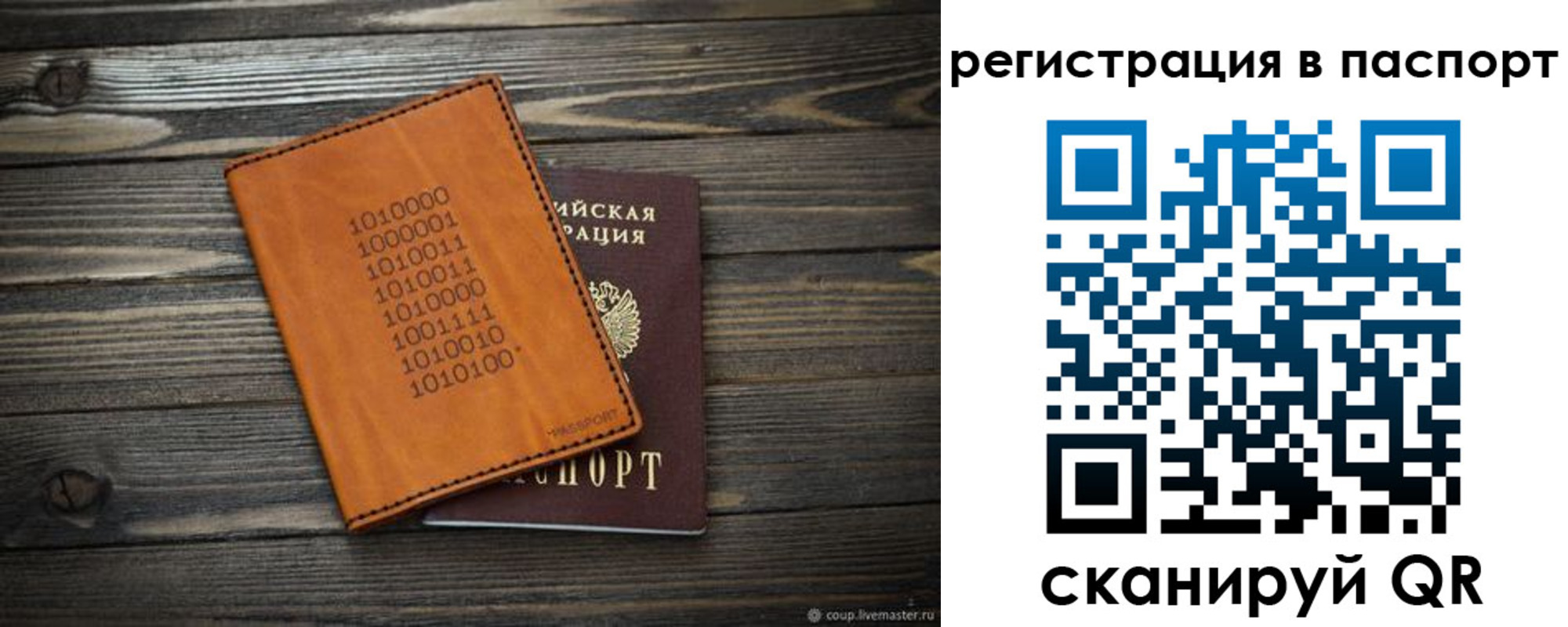 прописка для школы в Алексине